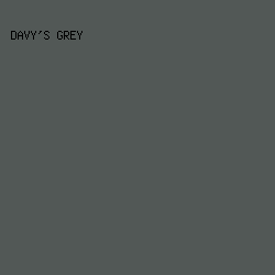 525856 - Davy's Grey color image preview