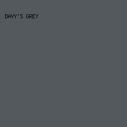 53595D - Davy's Grey color image preview