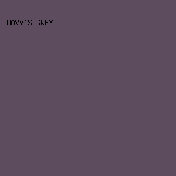 5D4B5E - Davy's Grey color image preview
