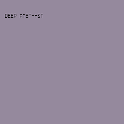 95899D - Deep Amethyst color image preview