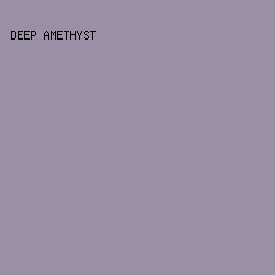 9B8FA5 - Deep Amethyst color image preview