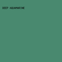 49896F - Deep Aquamarine color image preview