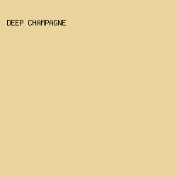E9D49B - Deep Champagne color image preview