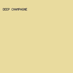 e9da9e - Deep Champagne color image preview