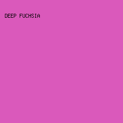 DA59BB - Deep Fuchsia color image preview