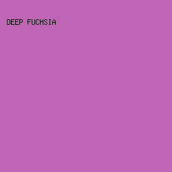 c064b6 - Deep Fuchsia color image preview