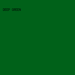 006119 - Deep Green color image preview