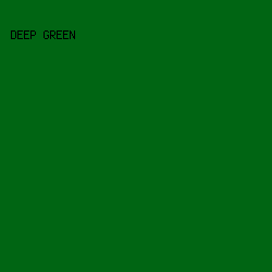 006513 - Deep Green color image preview