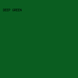 0A5D20 - Deep Green color image preview
