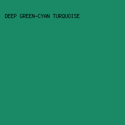 1A8A66 - Deep Green-Cyan Turquoise color image preview