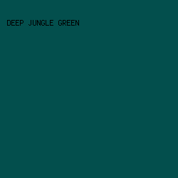 034F4D - Deep Jungle Green color image preview