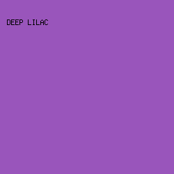 9955bb - Deep Lilac color image preview