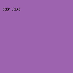 9D63AF - Deep Lilac color image preview