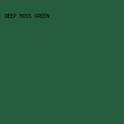 265D3E - Deep Moss Green color image preview