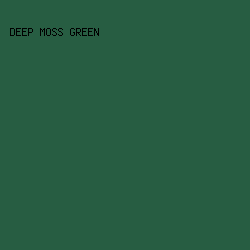 275d42 - Deep Moss Green color image preview