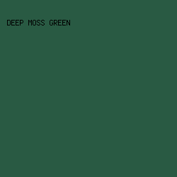 295A43 - Deep Moss Green color image preview