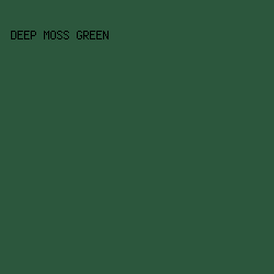 2C573D - Deep Moss Green color image preview