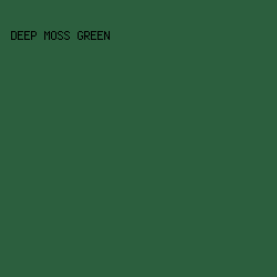 2C5F3E - Deep Moss Green color image preview