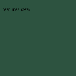2D5340 - Deep Moss Green color image preview
