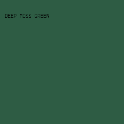 2e5c44 - Deep Moss Green color image preview