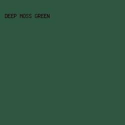 2f5641 - Deep Moss Green color image preview