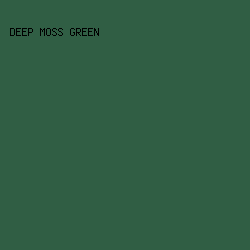 305e44 - Deep Moss Green color image preview
