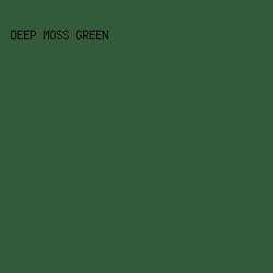 325b3c - Deep Moss Green color image preview