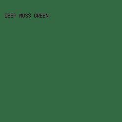 336943 - Deep Moss Green color image preview