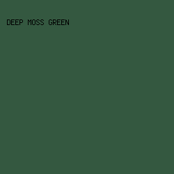 345840 - Deep Moss Green color image preview