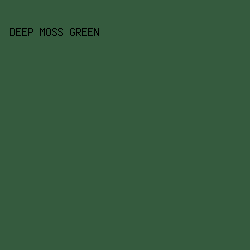 355B3E - Deep Moss Green color image preview