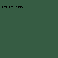 365c43 - Deep Moss Green color image preview
