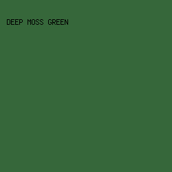 36673a - Deep Moss Green color image preview