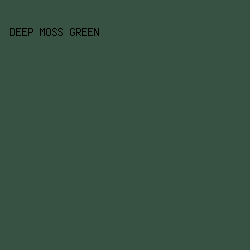 375242 - Deep Moss Green color image preview