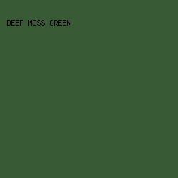 385B35 - Deep Moss Green color image preview
