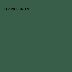 385D49 - Deep Moss Green color image preview