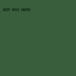 385e3c - Deep Moss Green color image preview