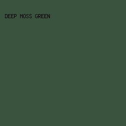 39533F - Deep Moss Green color image preview