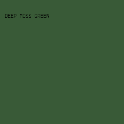 395A37 - Deep Moss Green color image preview