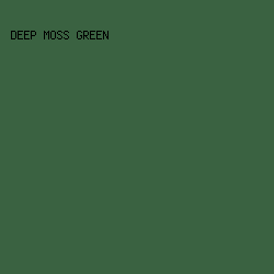 3A6241 - Deep Moss Green color image preview