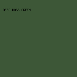 3D5737 - Deep Moss Green color image preview