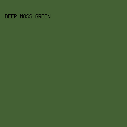 446134 - Deep Moss Green color image preview