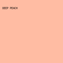 FFBCA3 - Deep Peach color image preview