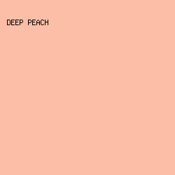 fcbea6 - Deep Peach color image preview
