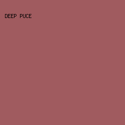 A05B5F - Deep Puce color image preview