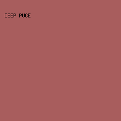 A85D5D - Deep Puce color image preview