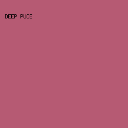 b65a73 - Deep Puce color image preview