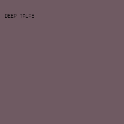 6F5A62 - Deep Taupe color image preview
