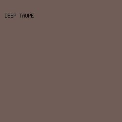 705D58 - Deep Taupe color image preview