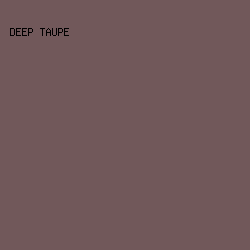 71585A - Deep Taupe color image preview