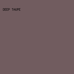 715C5F - Deep Taupe color image preview